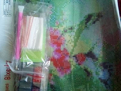 Blxey 30x30cm "Hummingbird" Diamond Art Kit Y2454-39 - DIY Art Craft Set