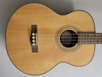Fender Electric Acoustic Bass Guitar