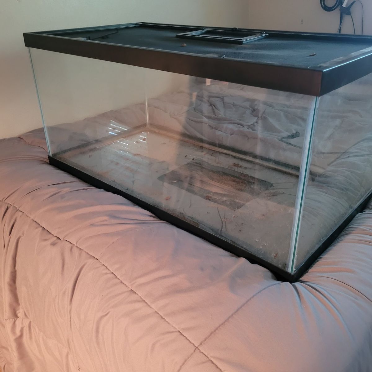 Large Glass Aquarium Fish Tank with Lid - Used