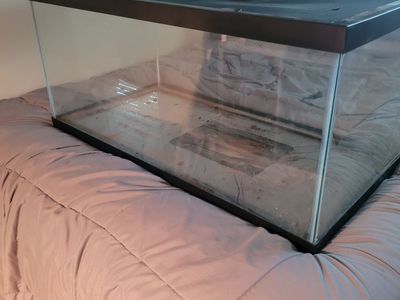Large Glass Aquarium Fish Tank with Lid - Used
