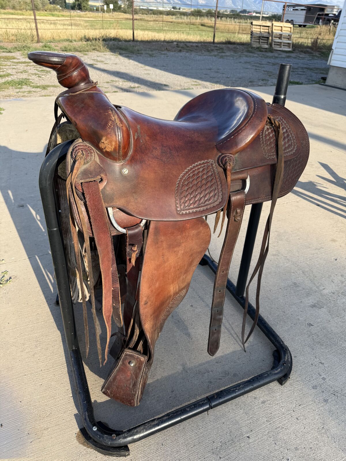 Golden spike saddle