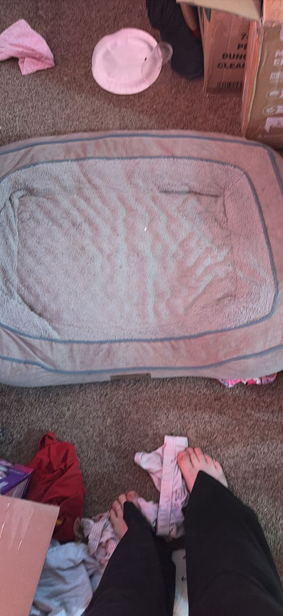 Used Pet Accessories: Crate, Bed, and Bowls - Essential Starter Kit