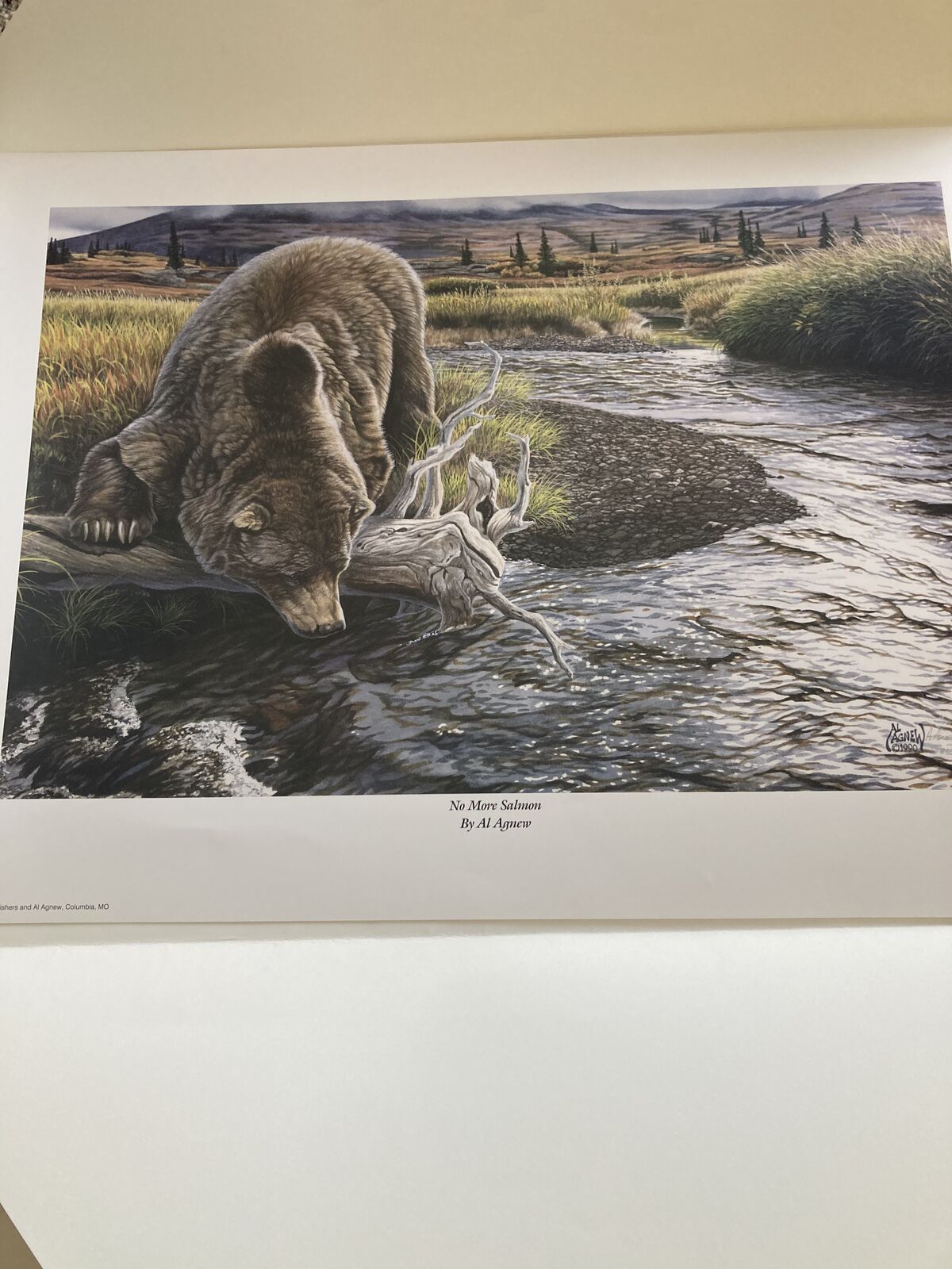 "No more Salmon" Al Agnew Limited Edition - Numbered 18x24