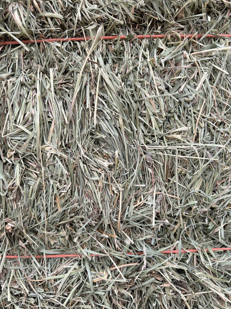 Hay, small bales