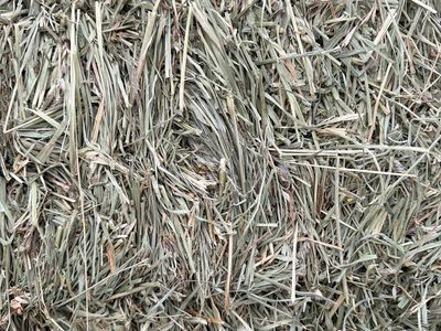 Hay, small bales
