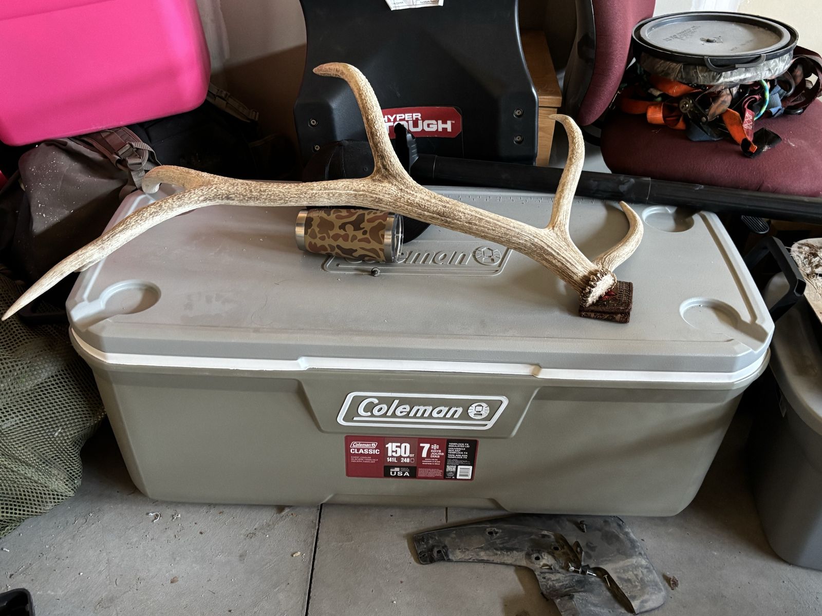Coleman Cooler