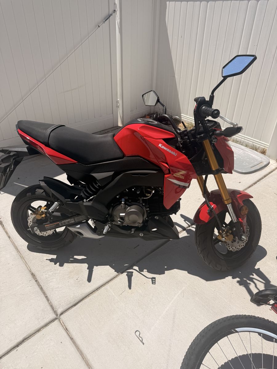 Kawasaki Z125 PRO Motorcycle - Red