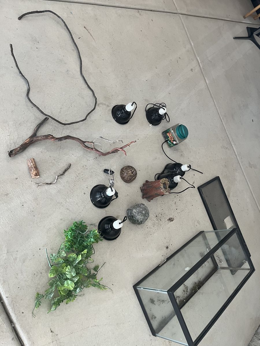 Lizard Enclosure/Habitat