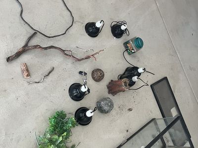 Lizard Enclosure/Habitat