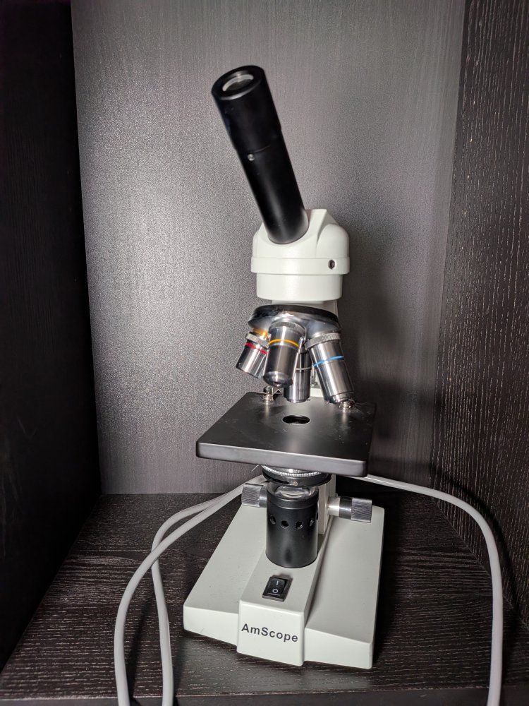 AmScope Student Microscope with WF10X Eyepiece and 4 Objectives - Excellent Condition