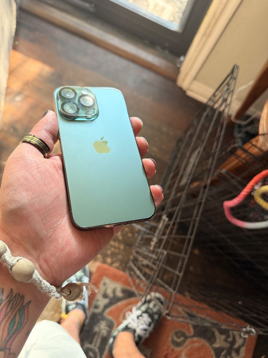 Apple iPhone 13 Pro (Unlocked) - Case & Screen Protector Incl.