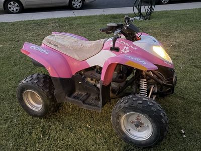 Polaris Phoenix 200