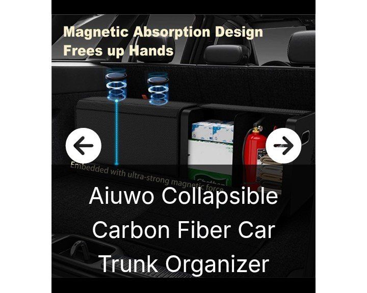 Small Collapsible Trunk Organizer (NEW)