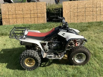 Yamaha warrior