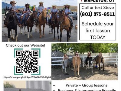 Horse Riding Lessons/ Boarding