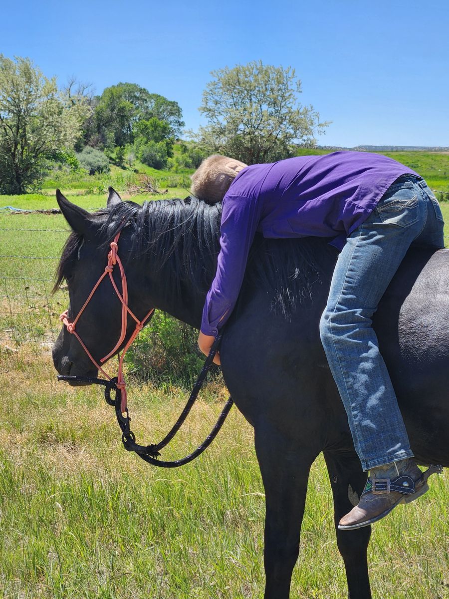 Great Family Lesson Mare SAFE