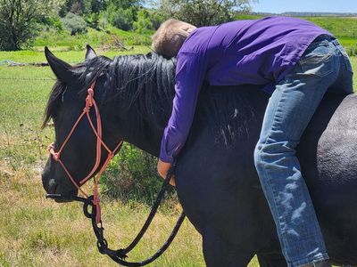 Great Family Lesson Mare SAFE