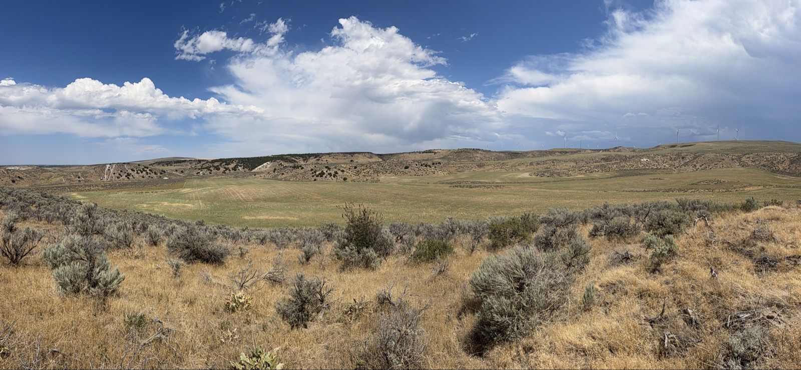 320 Acres Residential Land Development - Idaho Falls, ID - 2.5 Acre Lots