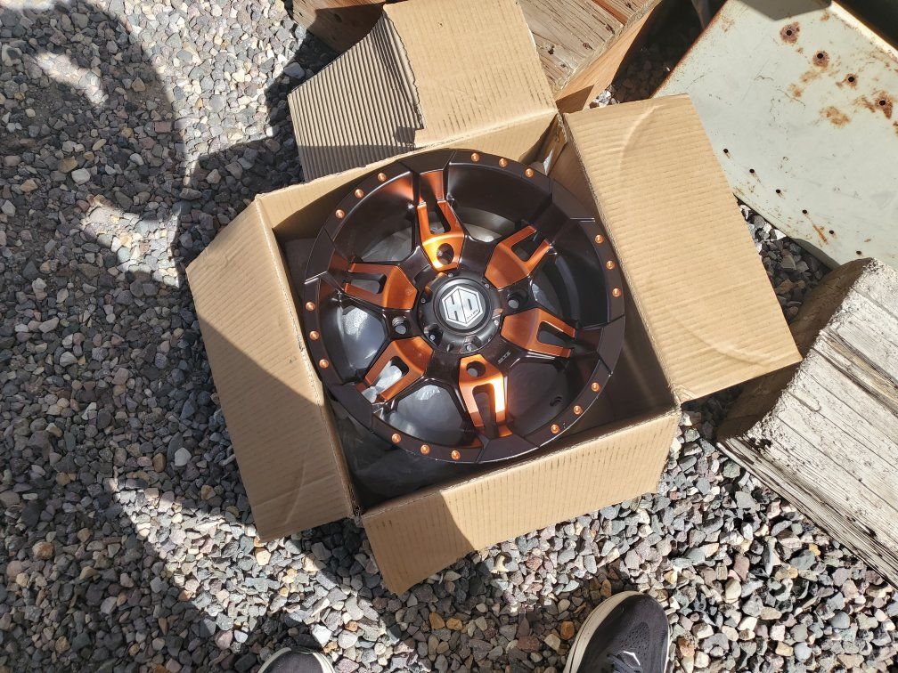 rzr rim new