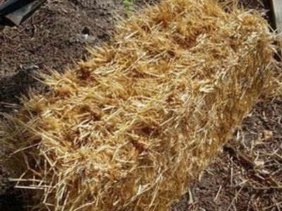 SMALL STRAW BALES 18X36 APPROXIMATLY 40 LBS