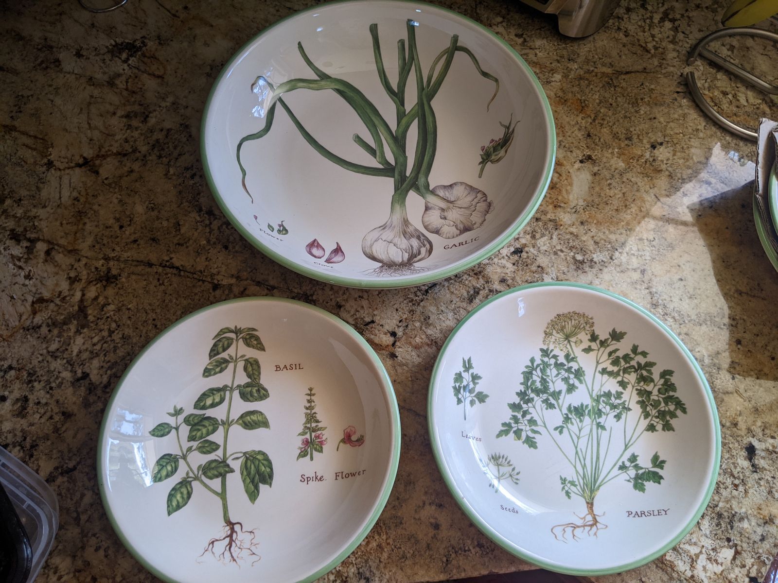 New Williams and Sonoma Culinary Herb Pasta Set
