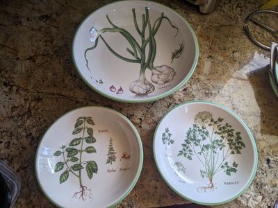 New Williams and Sonoma Culinary Herb Pasta Set