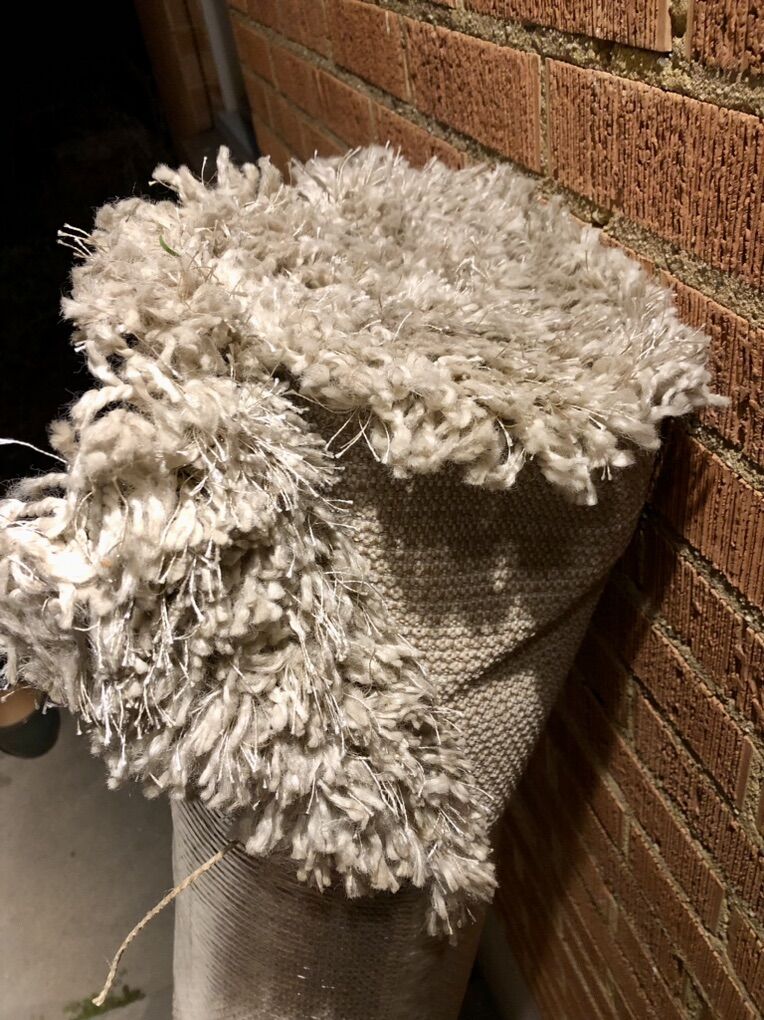 Thomasville Tango Area Rug