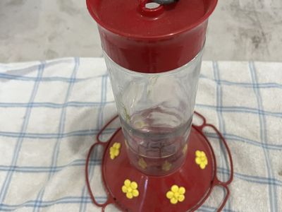Glass Hummingbird Feeder
