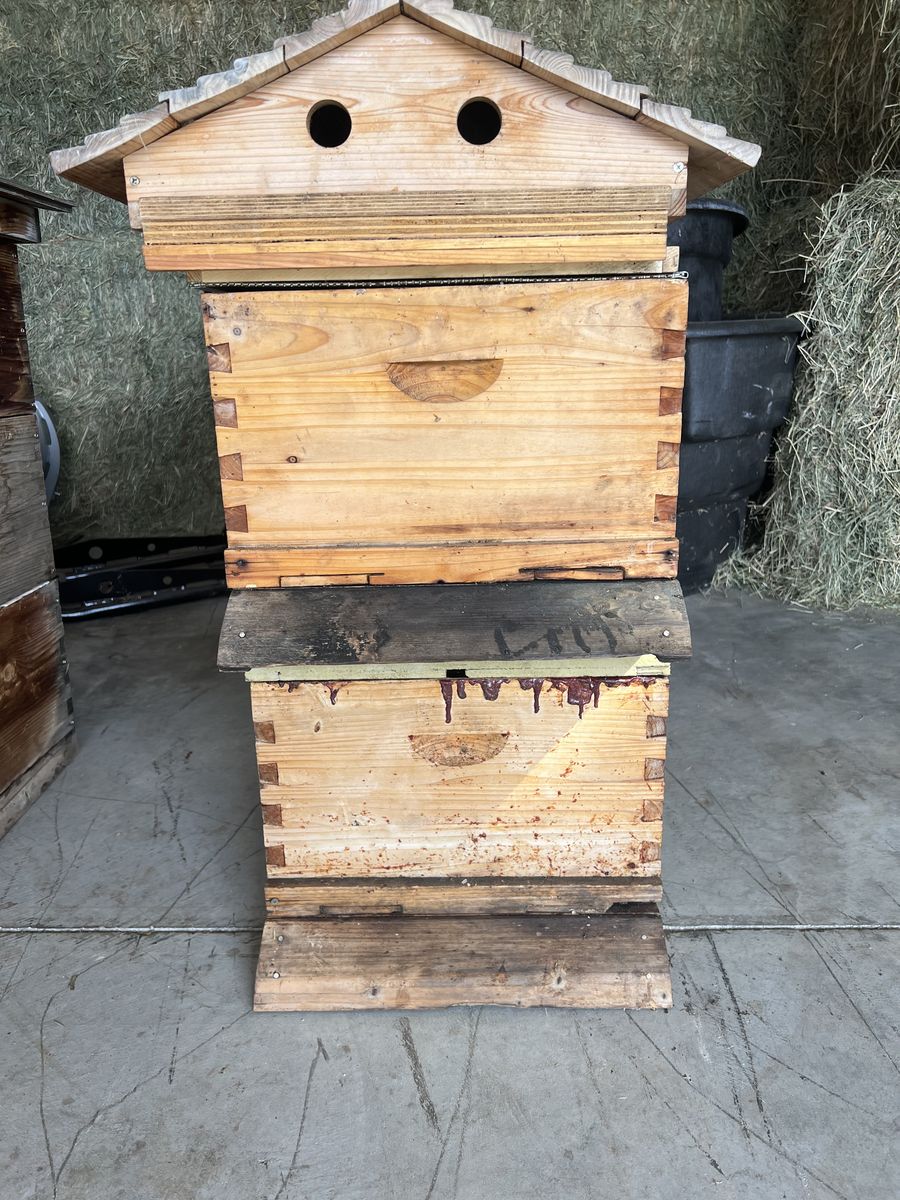 Beehive Boxes