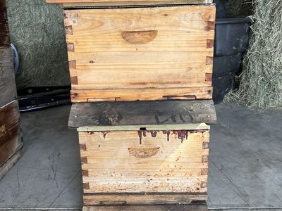 Beehive Boxes
