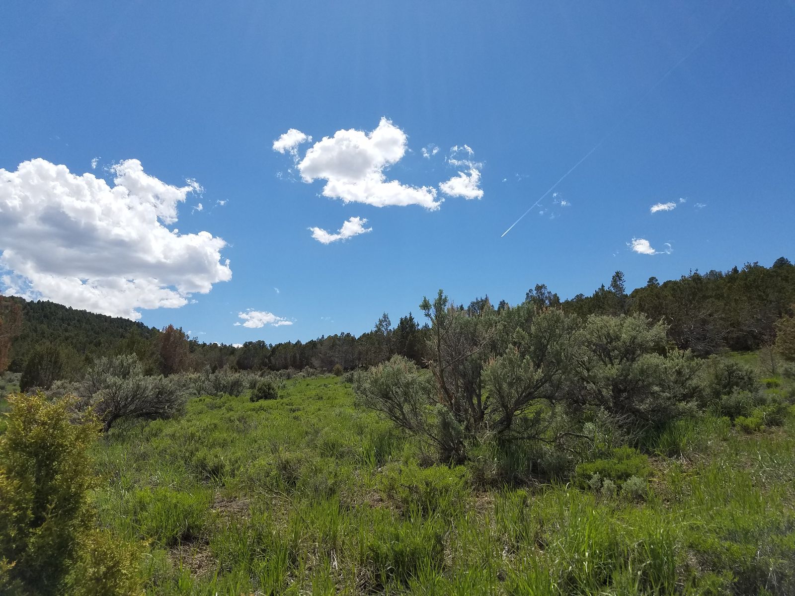 Exceptional 1-Acre Estate Lot | Refined Country Living Near the City