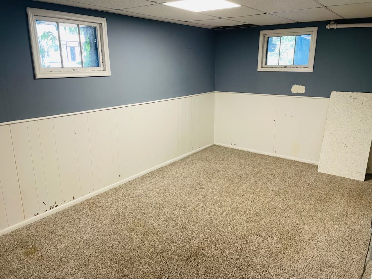 Main image 11