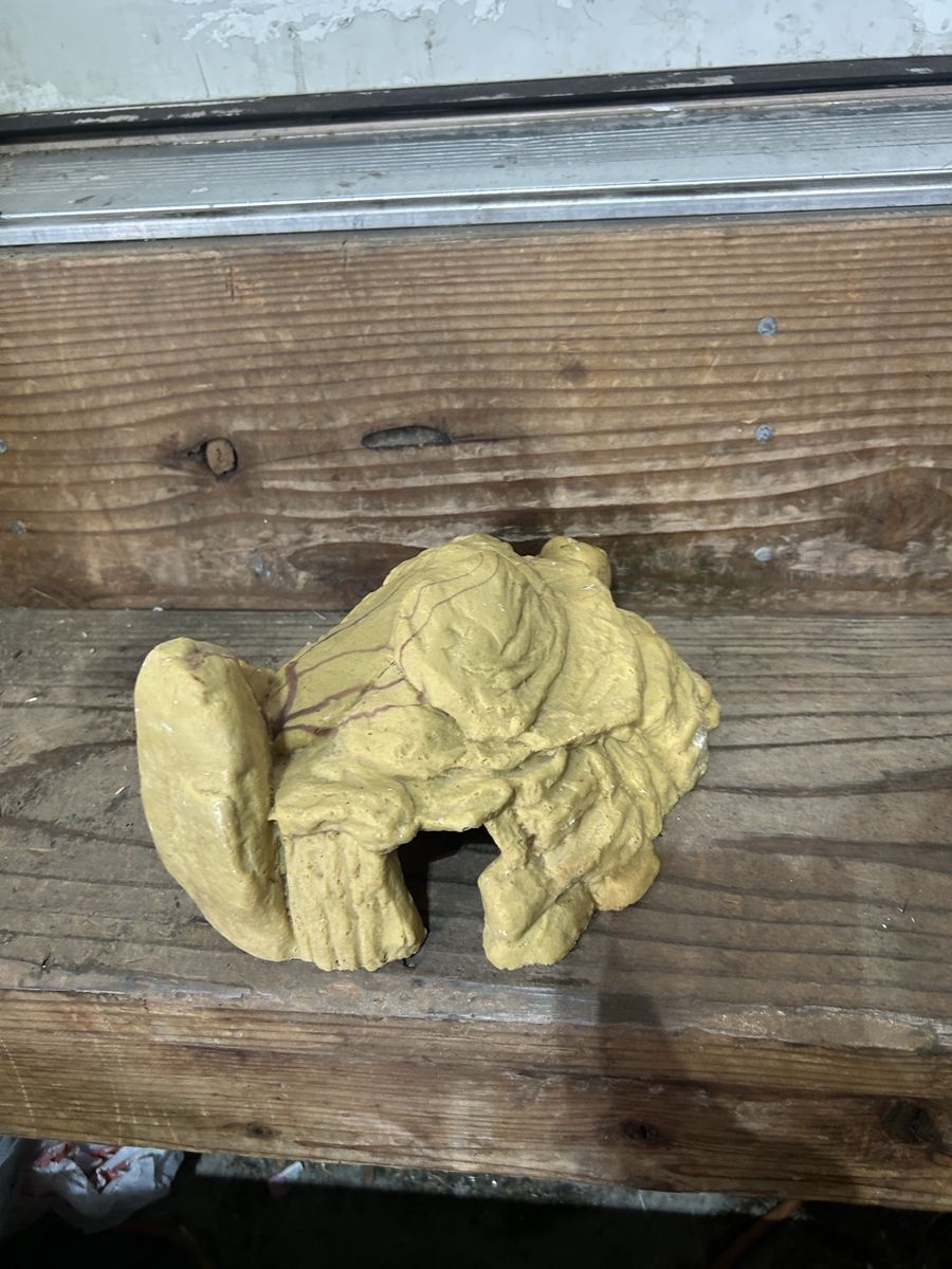 Reptile hide
