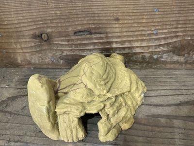 Reptile hide