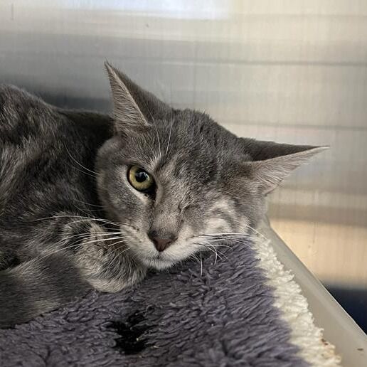 Hello my name is Rhiannon