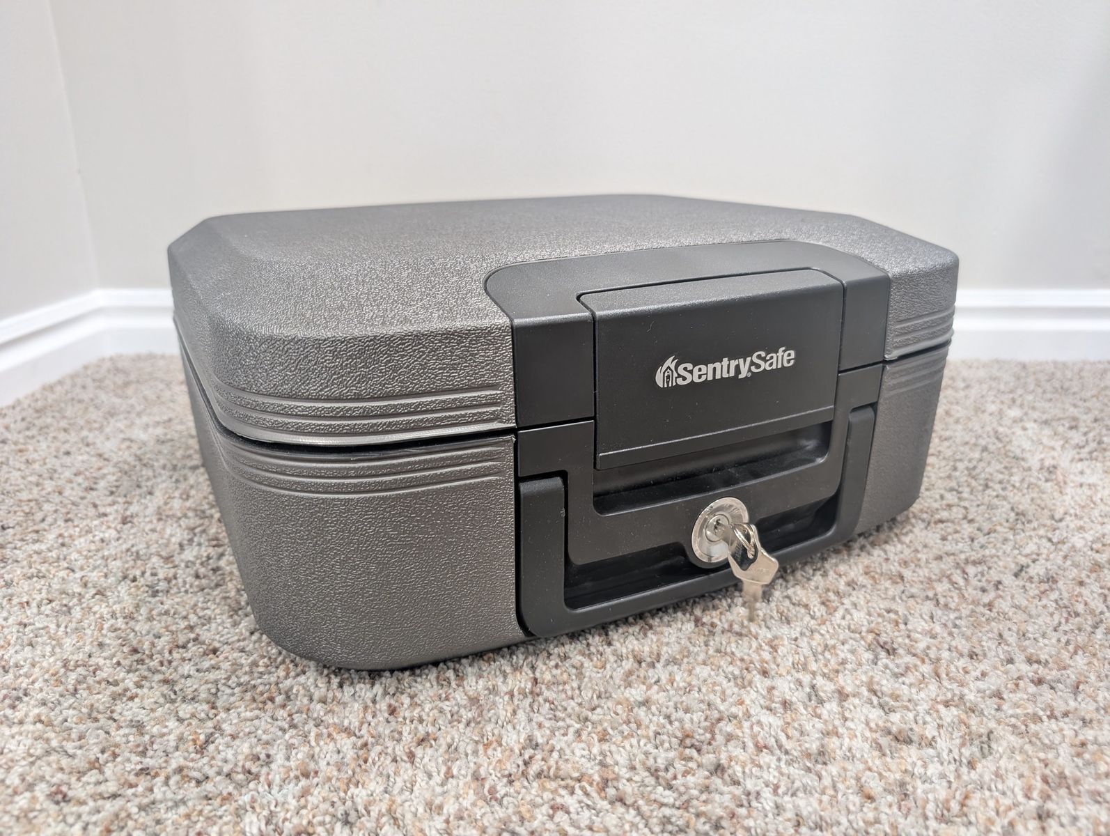 Sentrysafe Fire/Waterproof Safe