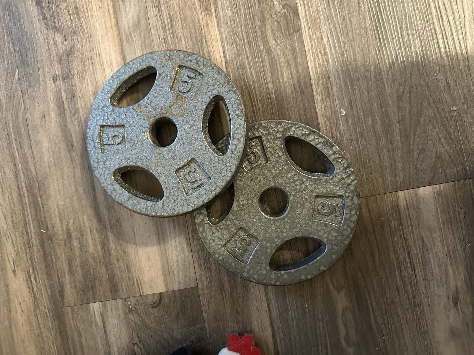 Used Standard Weight Plates - Pair of 5lb Cast Iron Plates for Strength Training