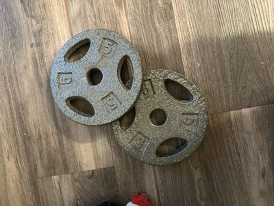 Used Standard Weight Plates - Pair of 5lb Cast Iron Plates for Strength Training