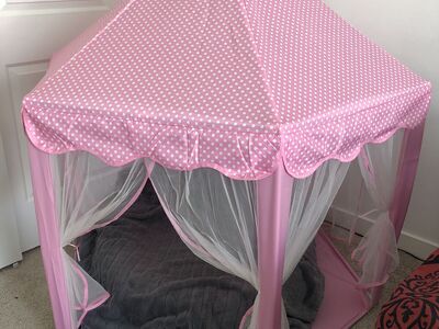 PRICE REDUCED! Pink Princess Tent