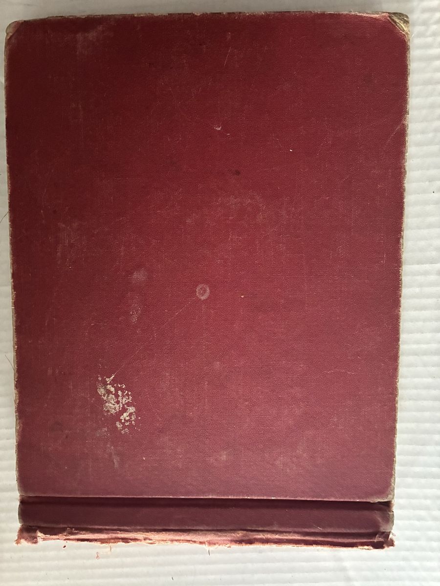 Main image 7