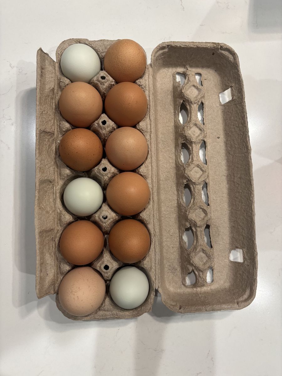 Eggs - cage free - deep yellow / orange yolks