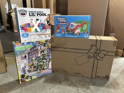NEW: Bolt Buddies, Disney Ariel, Ninja Turtle Toys