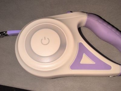 retractable dog leash