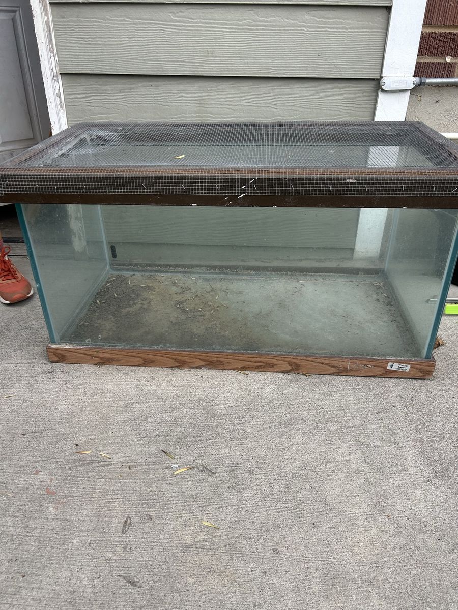 Large Glass Terrarium with Screen Top - Used for Reptiles/Amphibians
