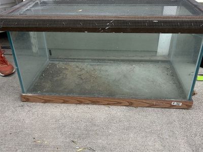 Large Glass Terrarium with Screen Top - Used for Reptiles/Amphibians