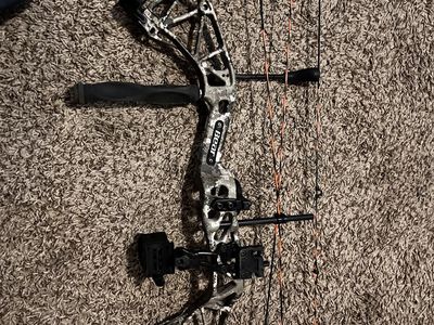 Compound Bow