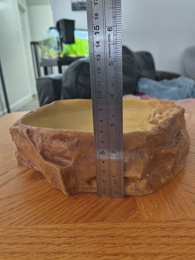 Main image 3