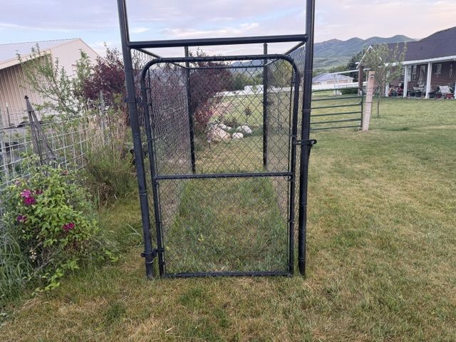 Dog Kennel