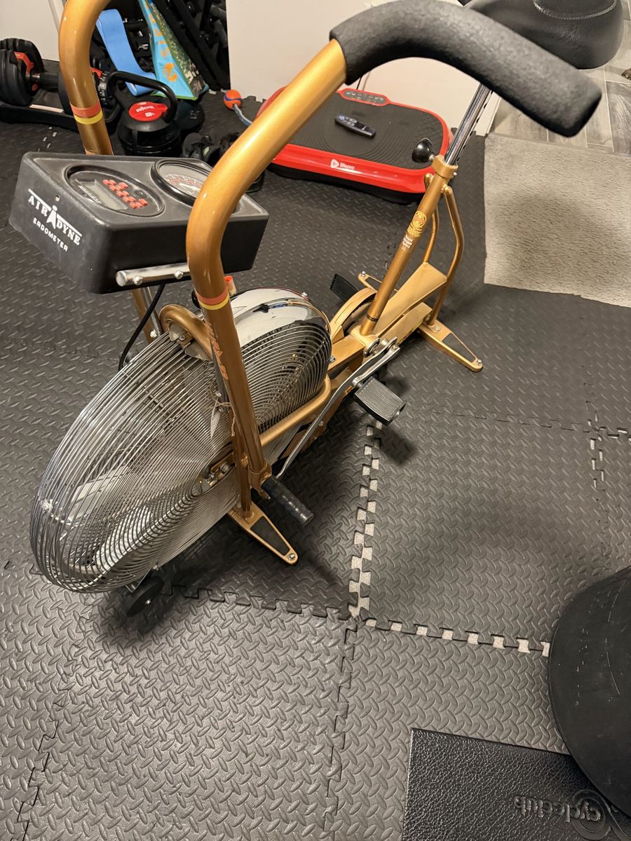 Schwinn Airdyne