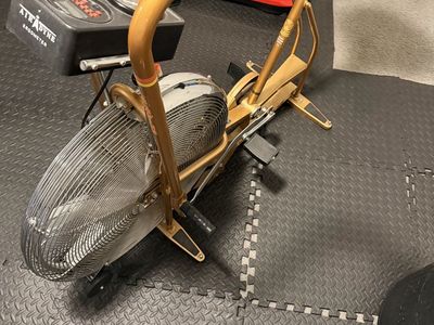 Schwinn Airdyne